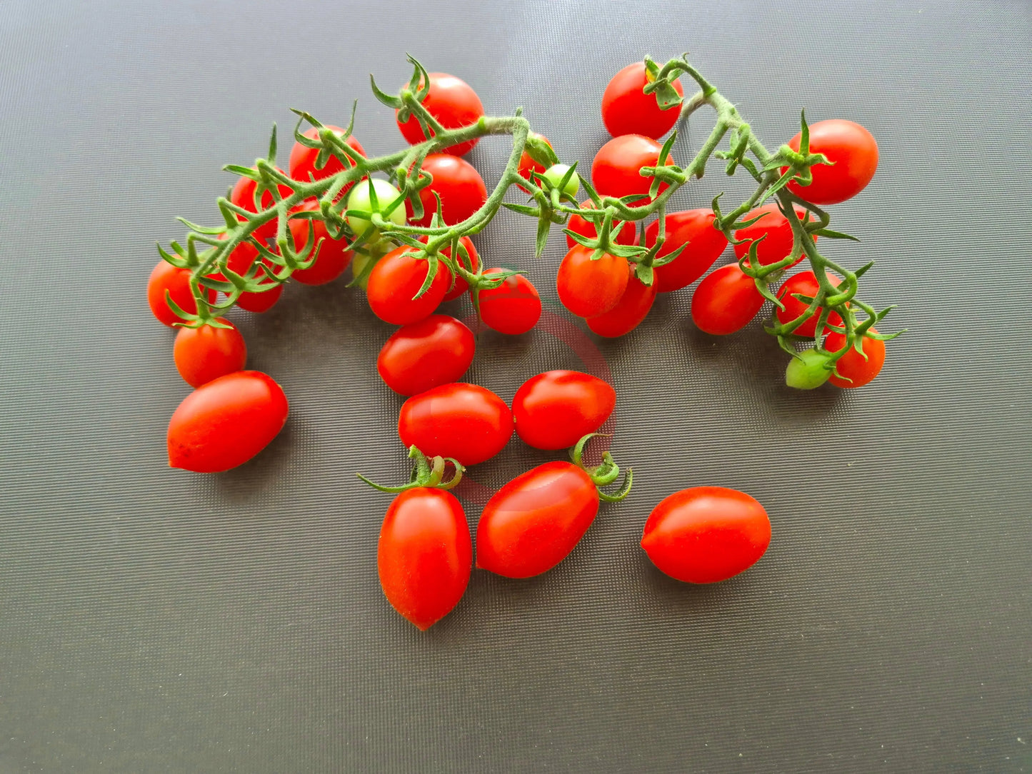 Vierländer Eiertomate DER TOMATENFLÜSTERER