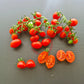 Vierländer Eiertomate DER TOMATENFLÜSTERER