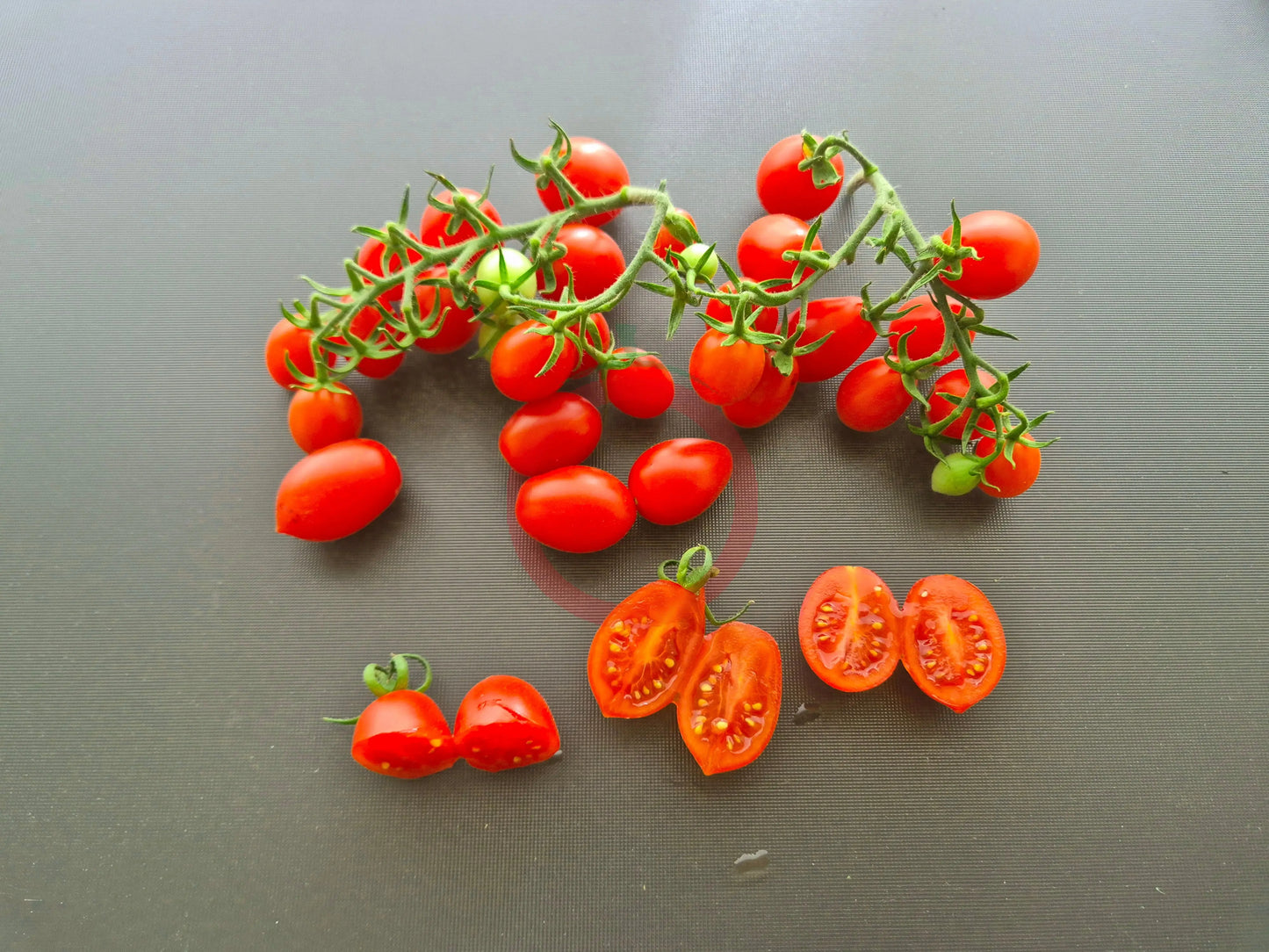 Vierländer Eiertomate DER TOMATENFLÜSTERER