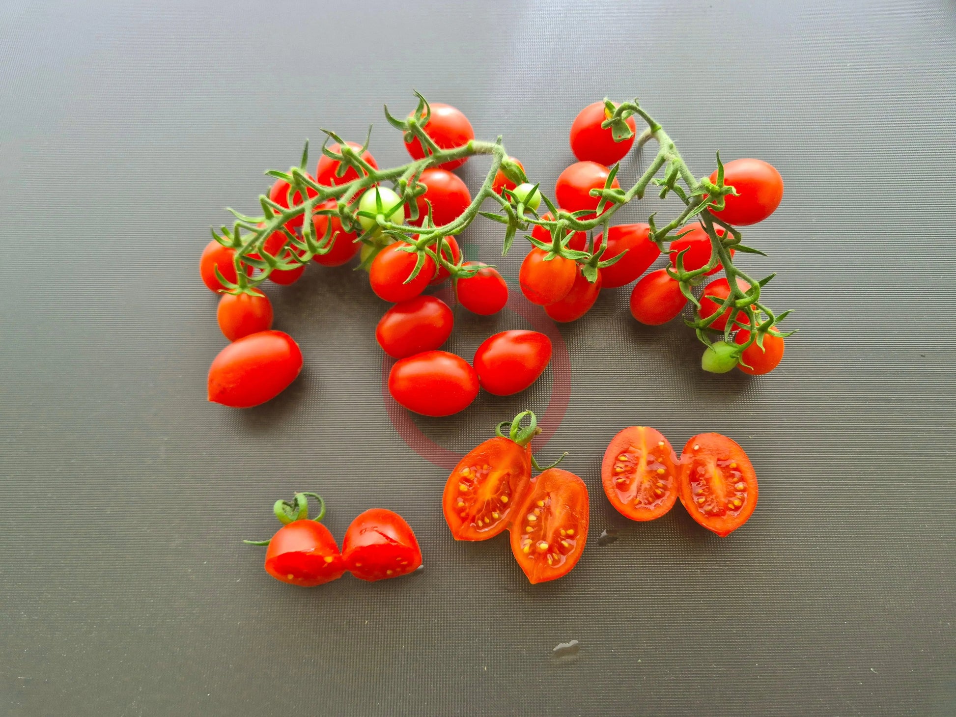 Vierländer Eiertomate DER TOMATENFLÜSTERER