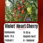 Violet Heart Cherry DER TOMATENFLÜSTERER