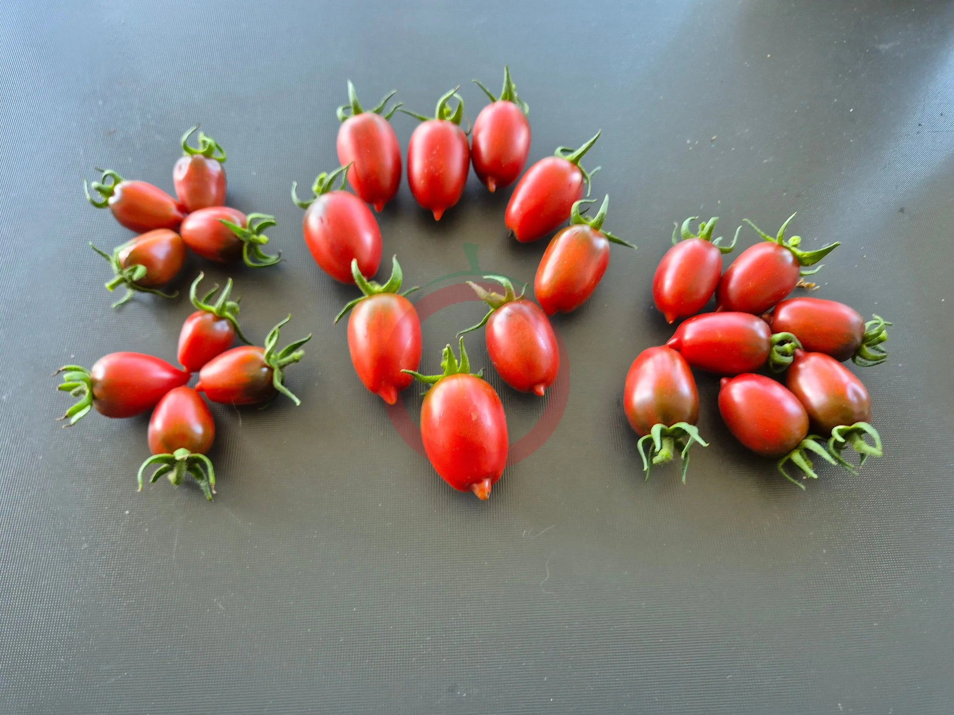 Violet Heart Cherry DER TOMATENFLÜSTERER