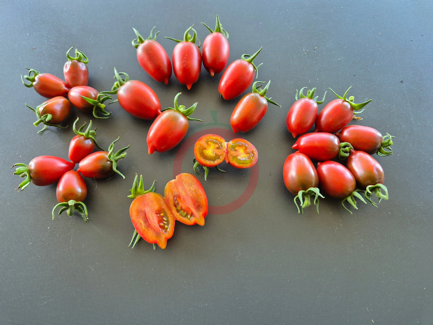 Violet Heart Cherry DER TOMATENFLÜSTERER