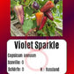 Violet Sparkle DER TOMATENFLÜSTERER