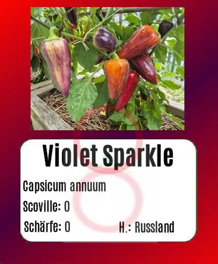 Violet Sparkle DER TOMATENFLÜSTERER