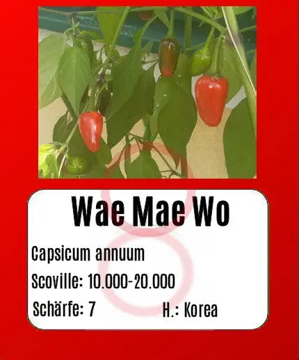 Wae Mae Wo DER TOMATENFLÜSTERER