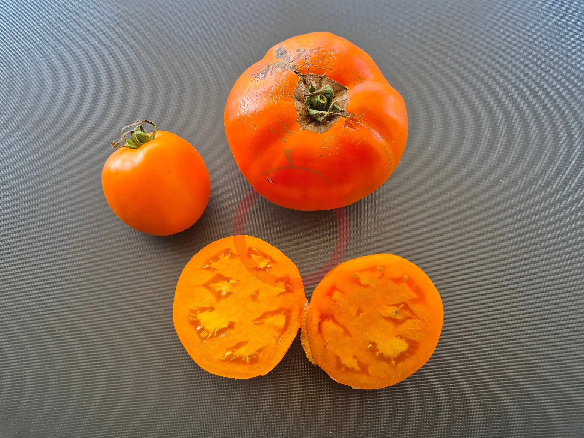 Wald4tler Orange DER TOMATENFLÜSTERER