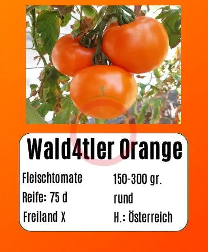 Wald4tler Orange DER TOMATENFLÜSTERER