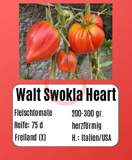 Walt Swokla Heart DER TOMATENFLÜSTERER