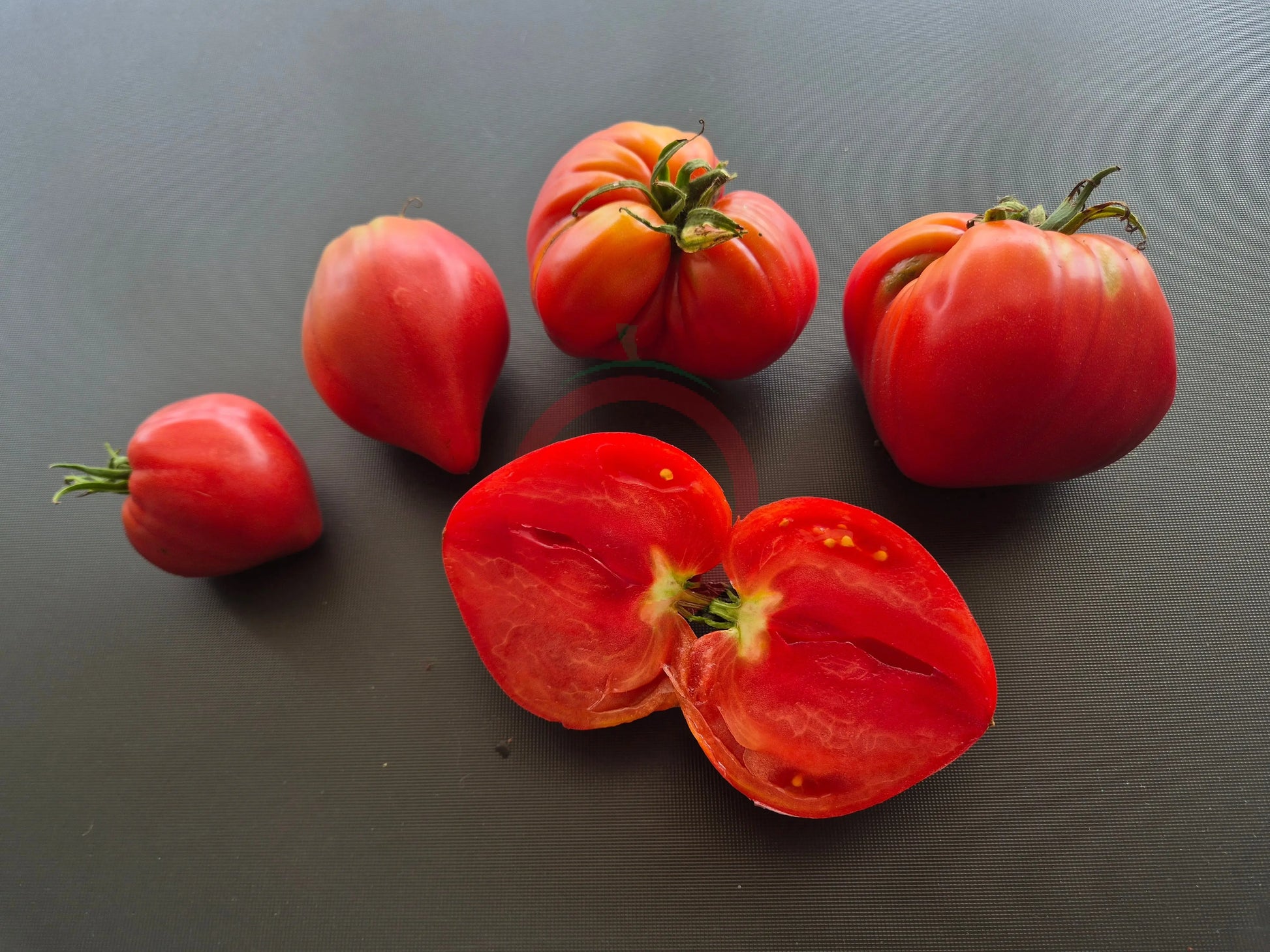 Walt Swokla Heart DER TOMATENFLÜSTERER