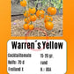 Warren's Yellow DER TOMATENFLÜSTERER