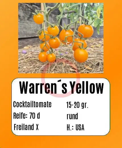 Warren's Yellow DER TOMATENFLÜSTERER