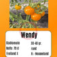 Wendy DER TOMATENFLÜSTERER
