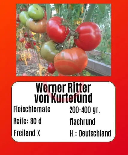 Werner Ritter von Kurtefund DER TOMATENFLÜSTERER