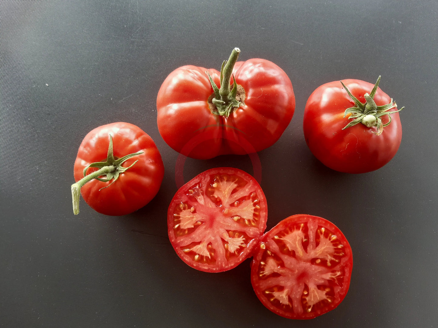 Werner Ritter von Kurtefund DER TOMATENFLÜSTERER