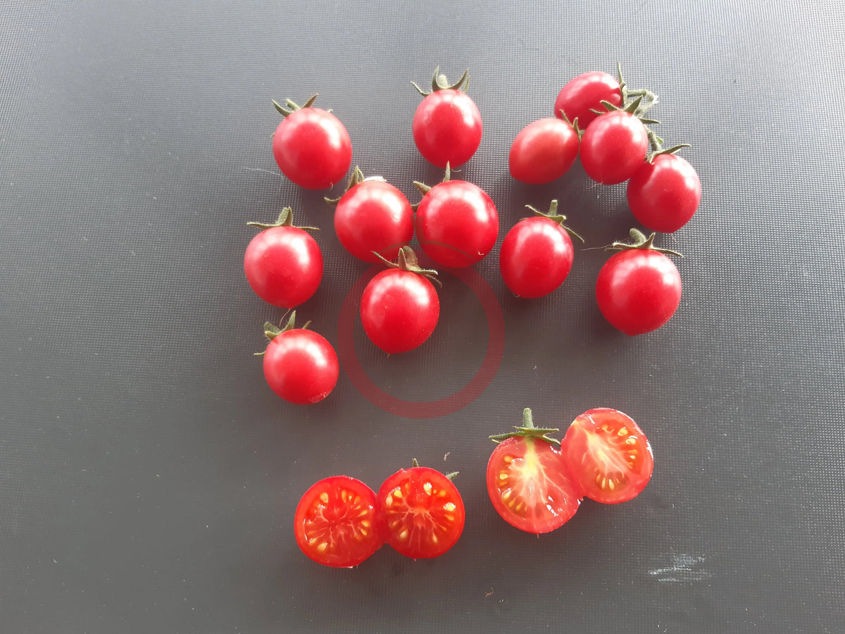 Whippersnapper – DER TOMATENFLÜSTERER