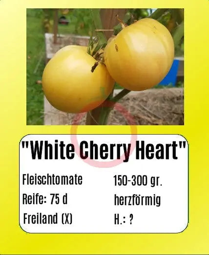 White Cherry Heart DER TOMATENFLÜSTERER