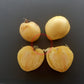 White Cherry Heart DER TOMATENFLÜSTERER