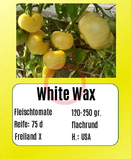 White Wax DER TOMATENFLÜSTERER