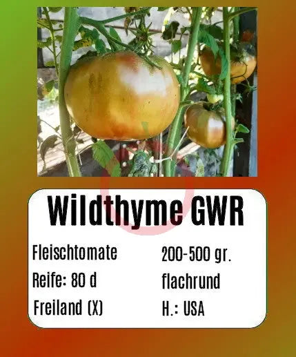 Wildthyme GWR DER TOMATENFLÜSTERER