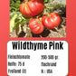 Wildthyme Pink DER TOMATENFLÜSTERER