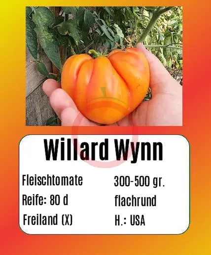 Willard Wynn DER TOMATENFLÜSTERER