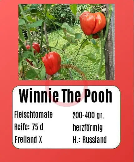Winnie The Pooh DER TOMATENFLÜSTERER
