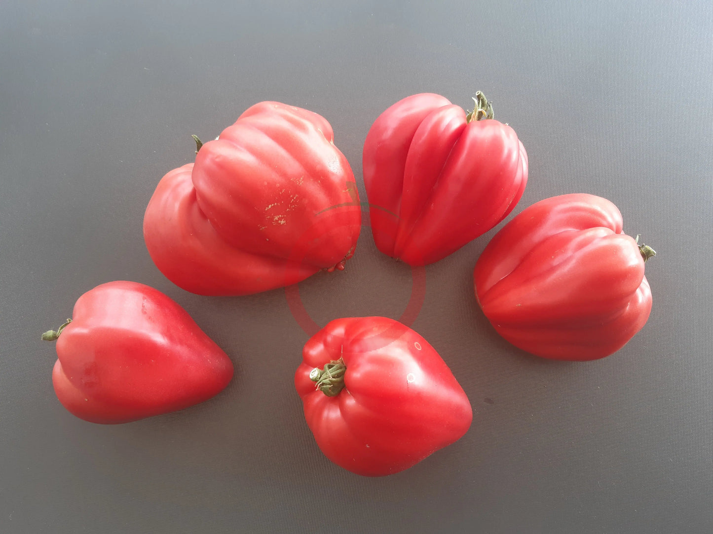 Winnie The Pooh DER TOMATENFLÜSTERER