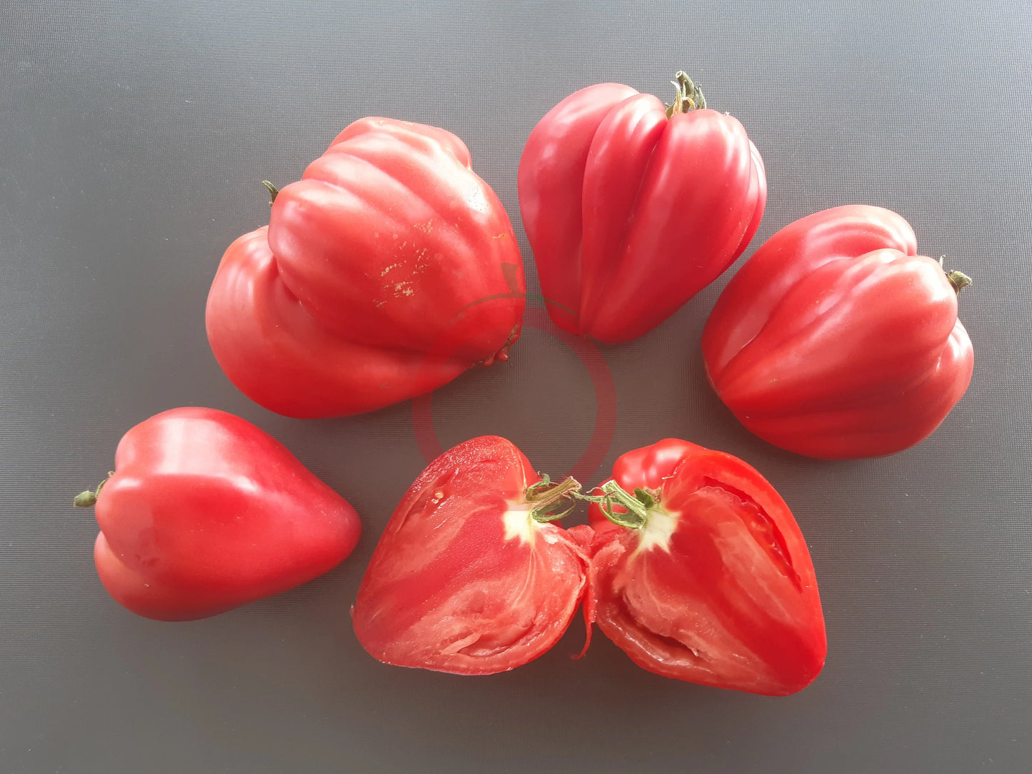 Winnie The Pooh DER TOMATENFLÜSTERER