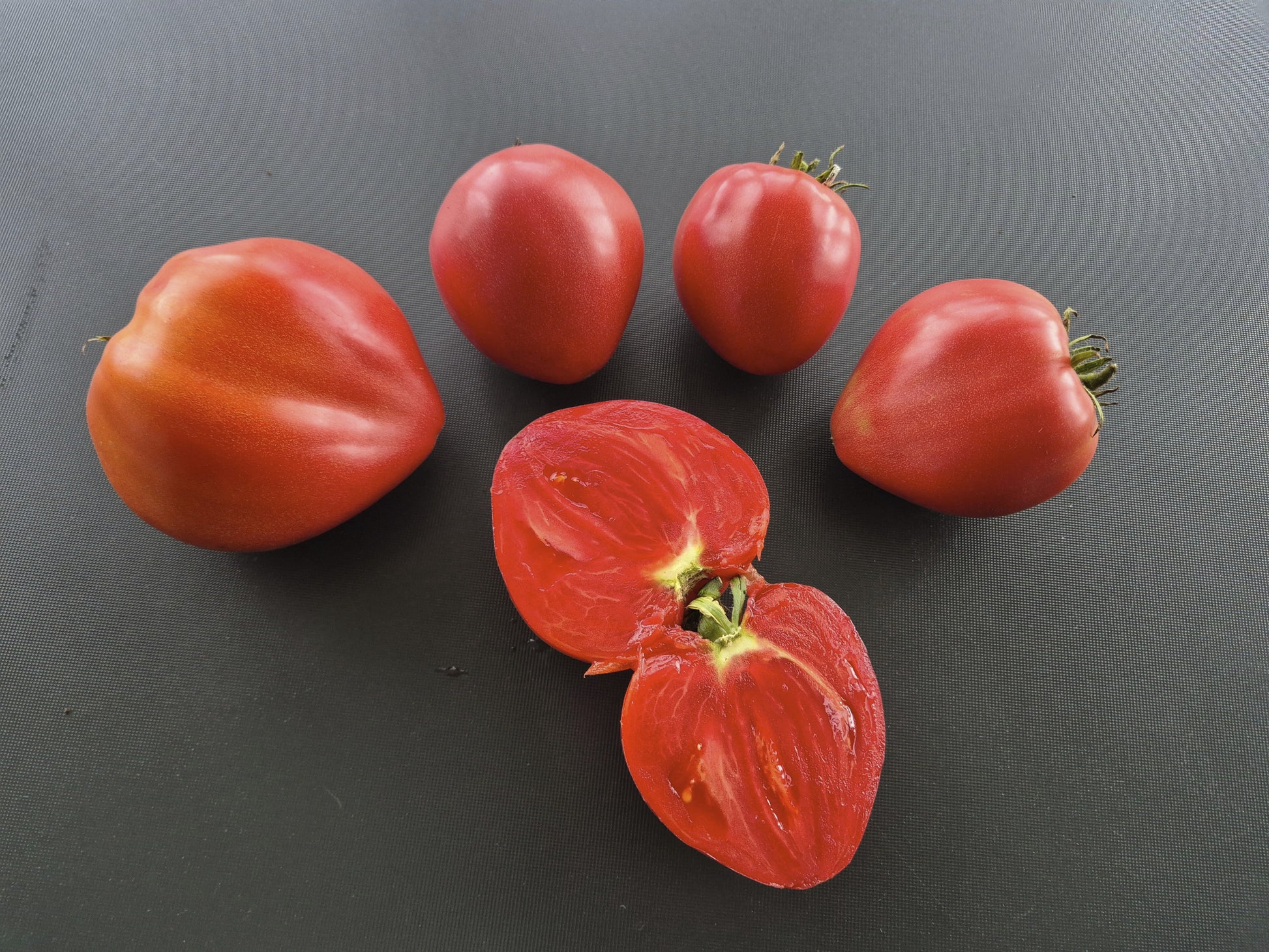 Wolford Wonder DER TOMATENFLÜSTERER