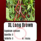 XL Long Brown DER TOMATENFLÜSTERER