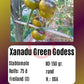 Xanadu Green Goddees DER TOMATENFLÜSTERER