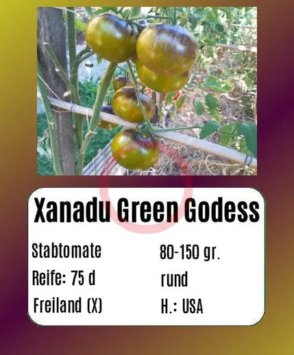 Xanadu Green Goddees DER TOMATENFLÜSTERER