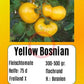 Yellow Bosnian DER TOMATENFLÜSTERER