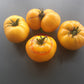 Yellow Bosnian DER TOMATENFLÜSTERER