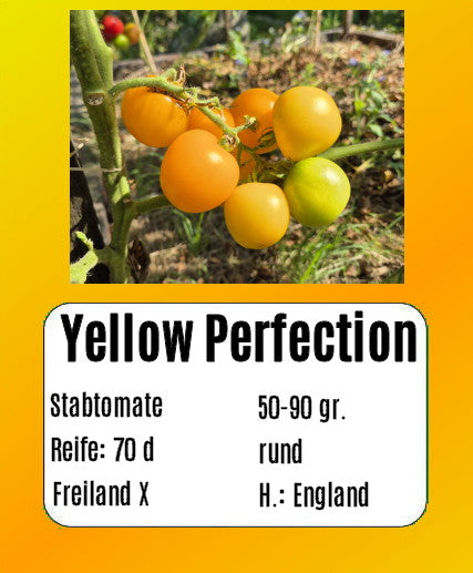 Yellow Perfection DER TOMATENFLÜSTERER