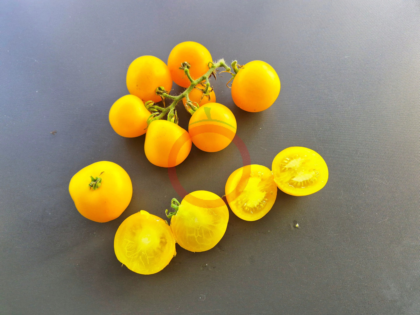 Yellow Perfection DER TOMATENFLÜSTERER