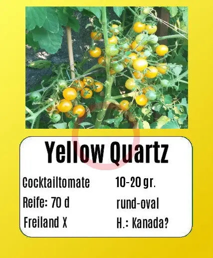 Yellow Quartz DER TOMATENFLÜSTERER