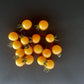 Yellow Quartz DER TOMATENFLÜSTERER