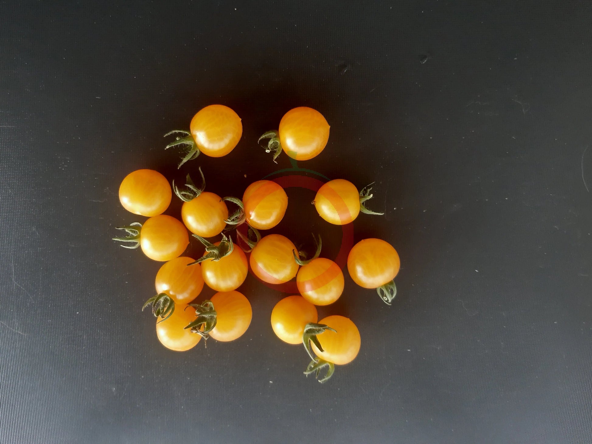 Yellow Quartz DER TOMATENFLÜSTERER