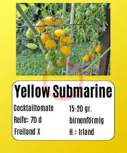 Yellow Submarine DER TOMATENFLÜSTERER