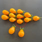Yellow Submarine DER TOMATENFLÜSTERER