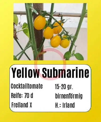 Yellow Submarine DER TOMATENFLÜSTERER