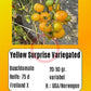 Yellow Surprise Variegated DER TOMATENFLÜSTERER
