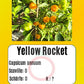 Yellow Rocket