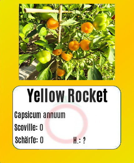 Yellow Rocket