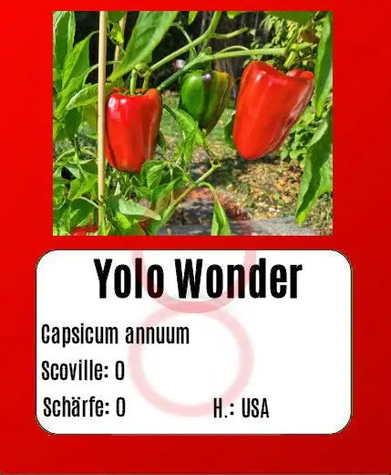 Yolo Wonder DER TOMATENFLÜSTERER