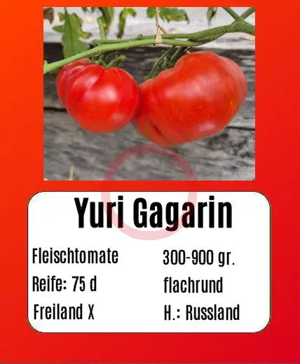 Yuri Gagarin DER TOMATENFLÜSTERER
