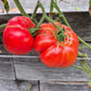 Yuri Gagarin DER TOMATENFLÜSTERER