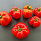 Yuri Gagarin DER TOMATENFLÜSTERER